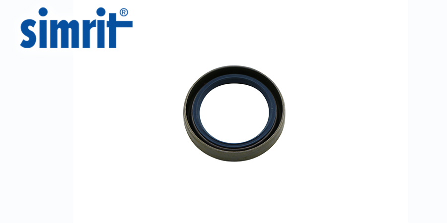 骨架爱体育官方网站-爱体育aitiyu(中国)
和机械密封两者差距多大